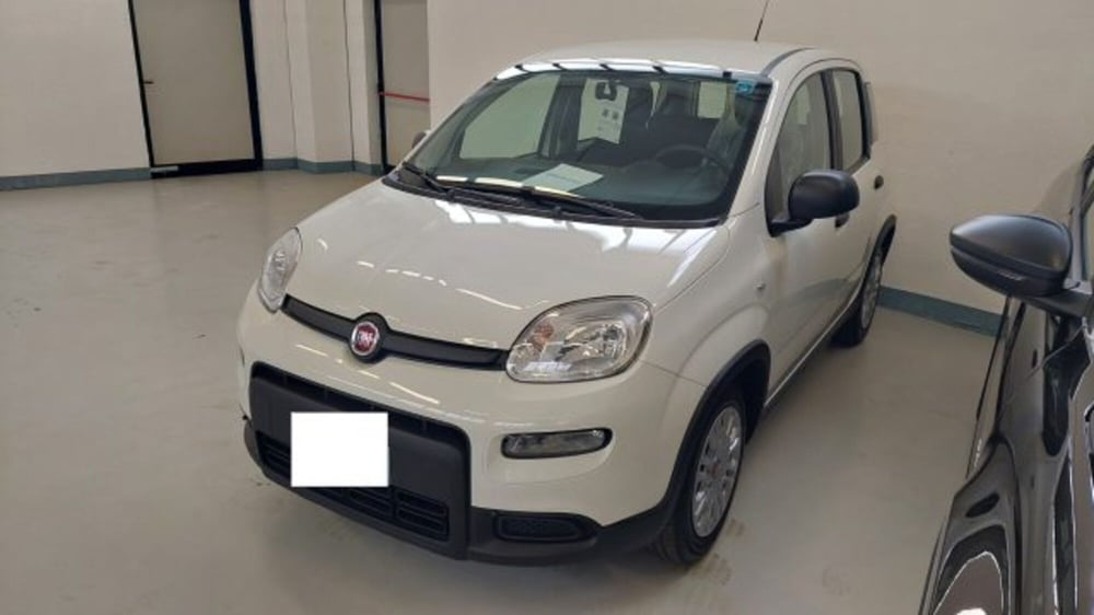 Fiat Panda nuova a Brescia (2)