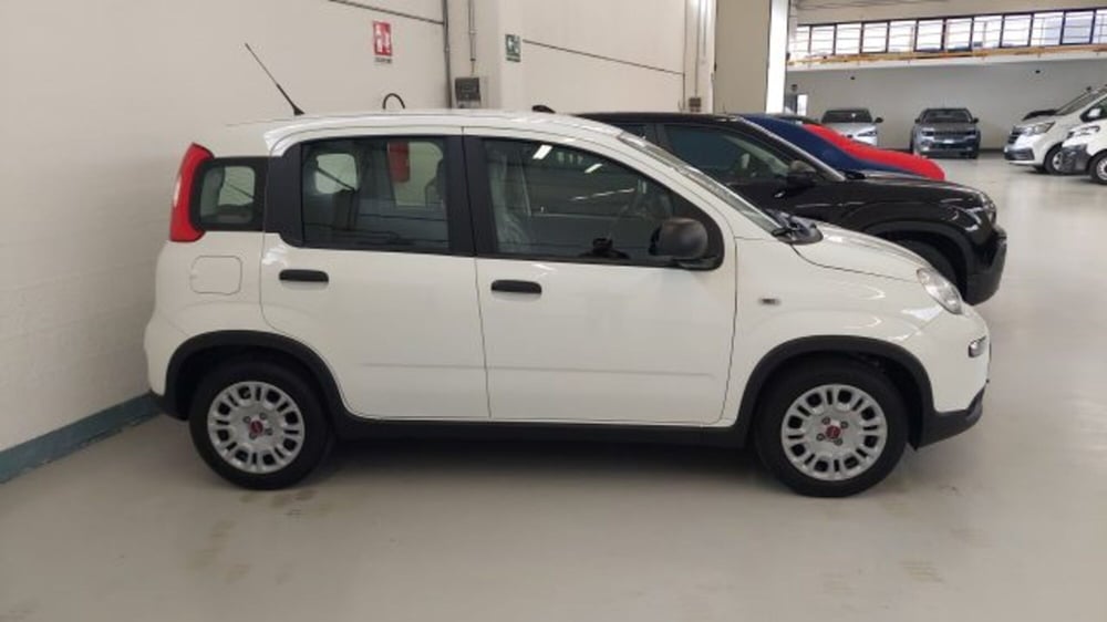 Fiat Panda nuova a Brescia (3)