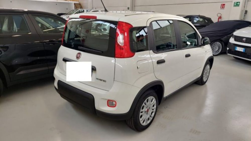 Fiat Panda nuova a Brescia (4)