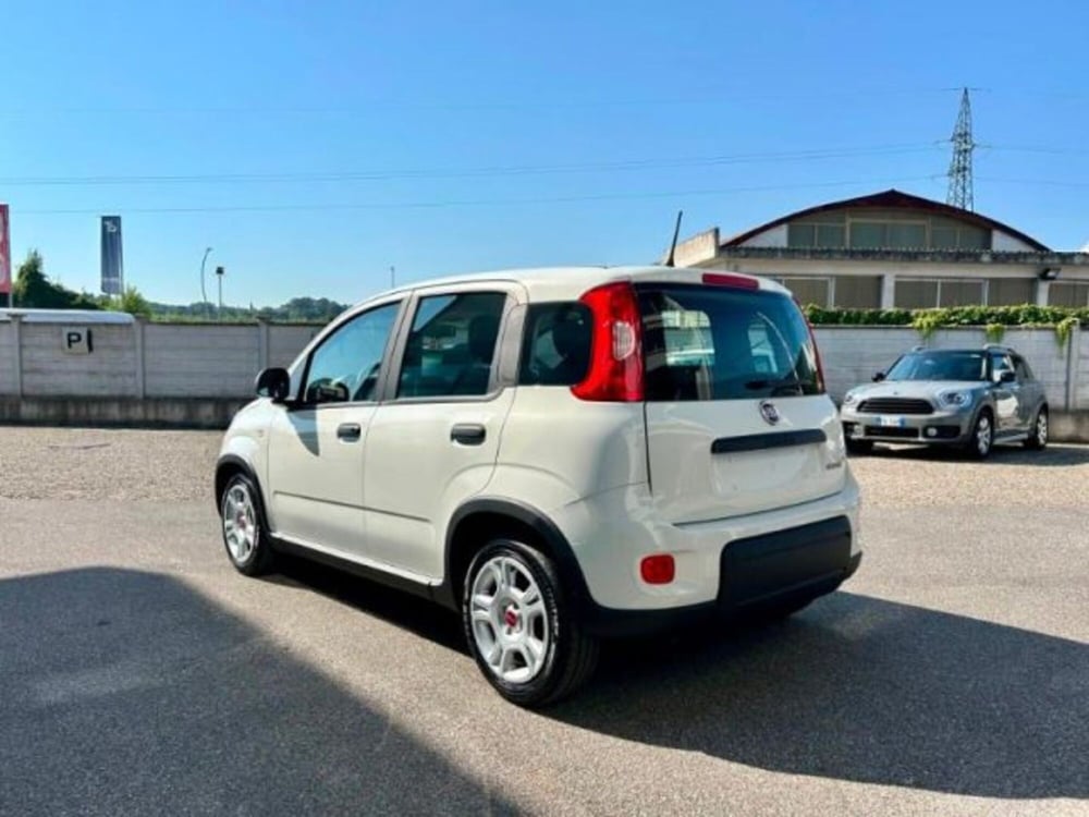 Fiat Panda nuova a Firenze (7)