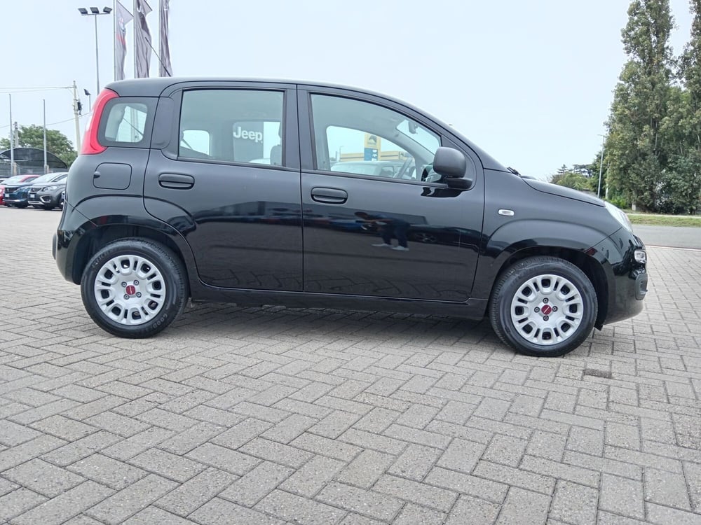 Fiat Panda Cross usata a Alessandria (4)