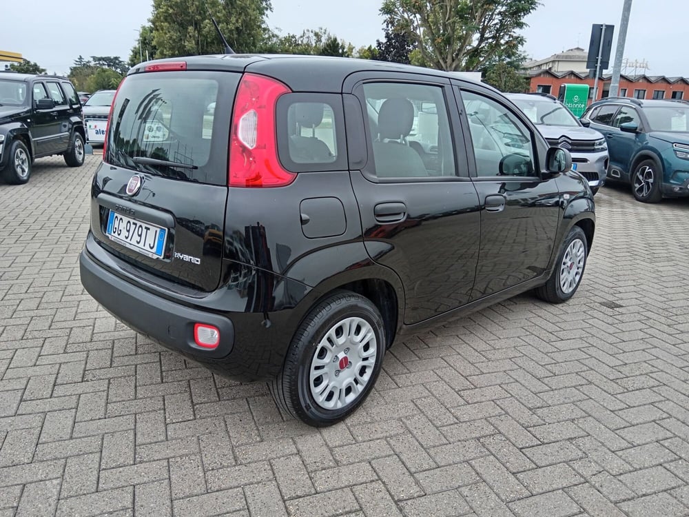 Fiat Panda Cross usata a Alessandria (5)