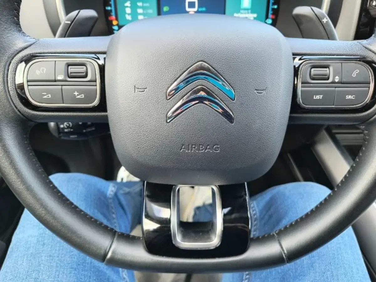 Citroen C5 Aircross usata a Frosinone (18)