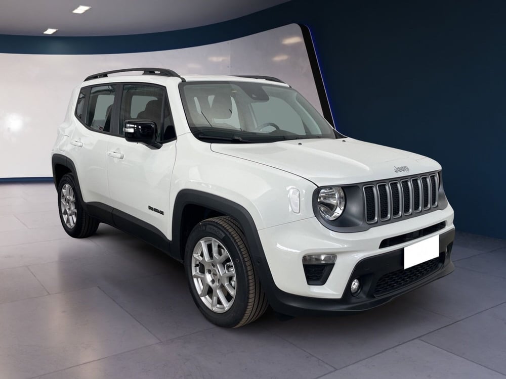 Jeep Renegade usata a Torino (2)