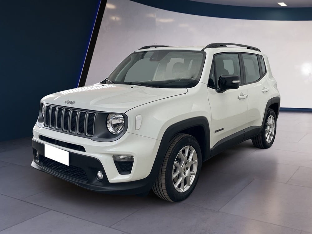 Jeep Renegade usata a Torino (3)