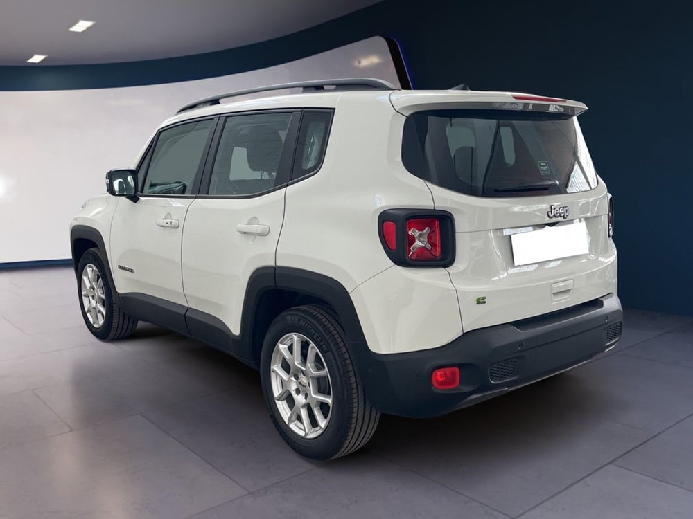 Jeep Renegade usata a Torino (4)