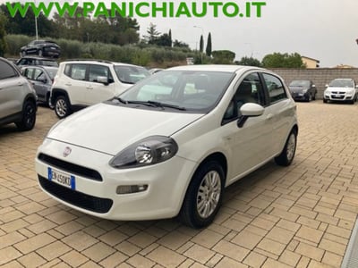 Fiat Punto 1.3 MJT II 75 CV 3 porte Lounge  del 2012 usata a Cortona