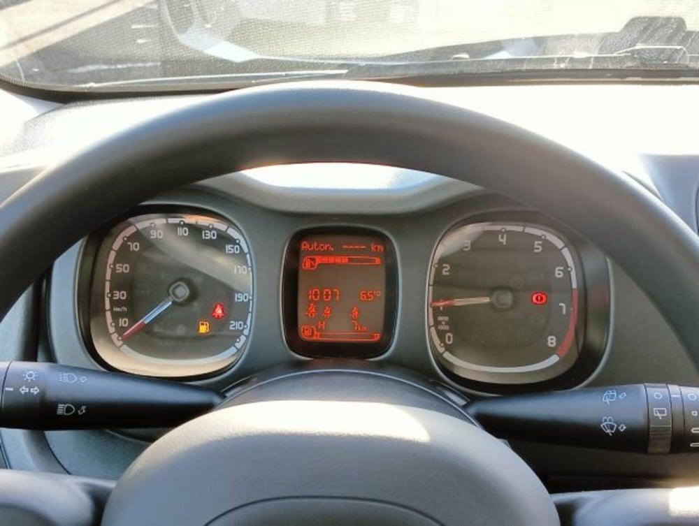 Fiat Panda Cross nuova a Brescia (7)