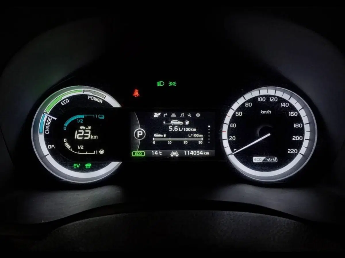 Kia Niro usata a Torino (9)