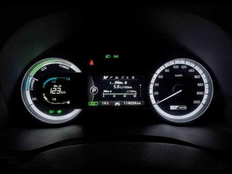 Kia Niro usata a Torino (9)