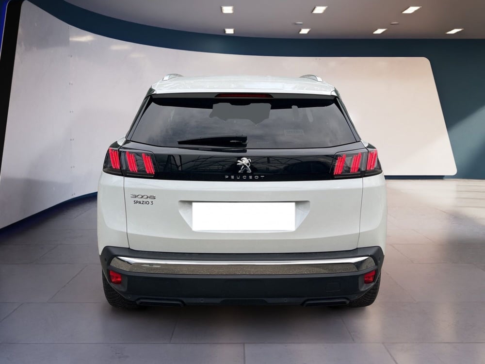 Peugeot 3008 usata a Torino (6)