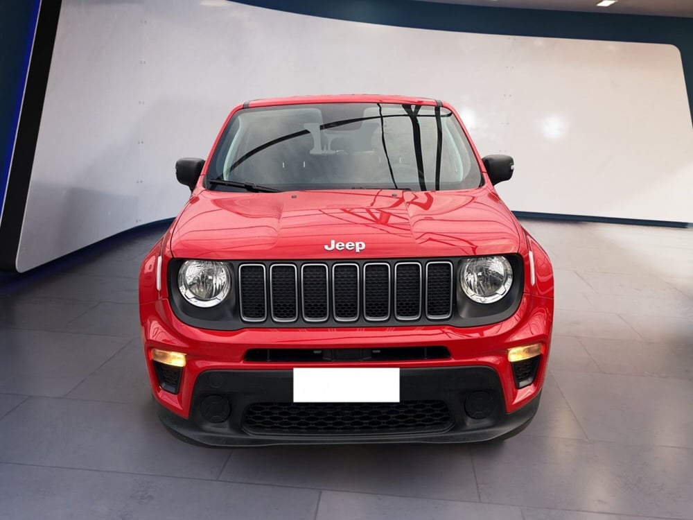 Jeep Renegade usata a Torino