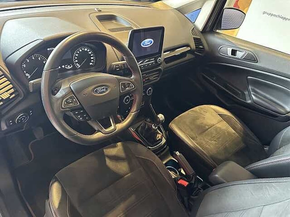 Ford EcoSport usata a Cosenza (8)