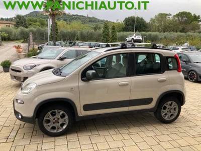 Fiat Panda 1.3 MJT 4x4 Van Active Trekking 2 posti del 2014 usata a Cortona