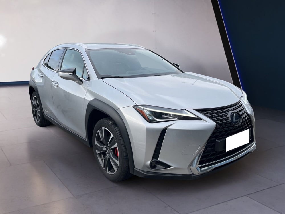 Lexus UX usata a Torino (2)