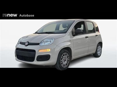 Fiat Panda 1.2 EasyPower Easy  del 2016 usata a Albignasego