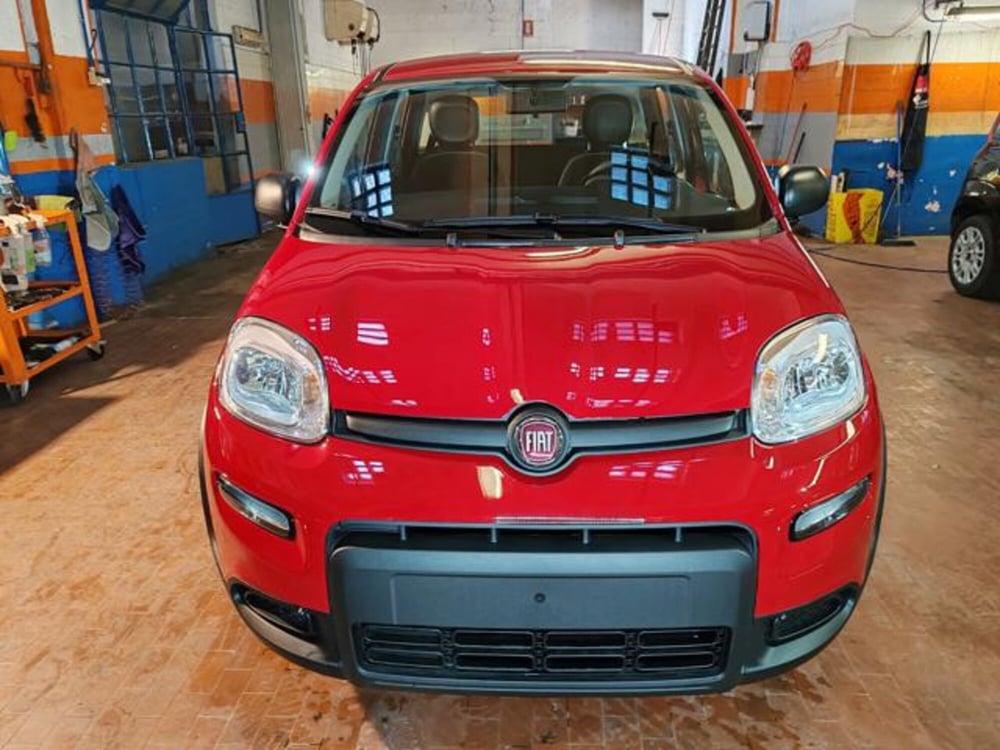 Fiat Panda nuova a Torino (2)