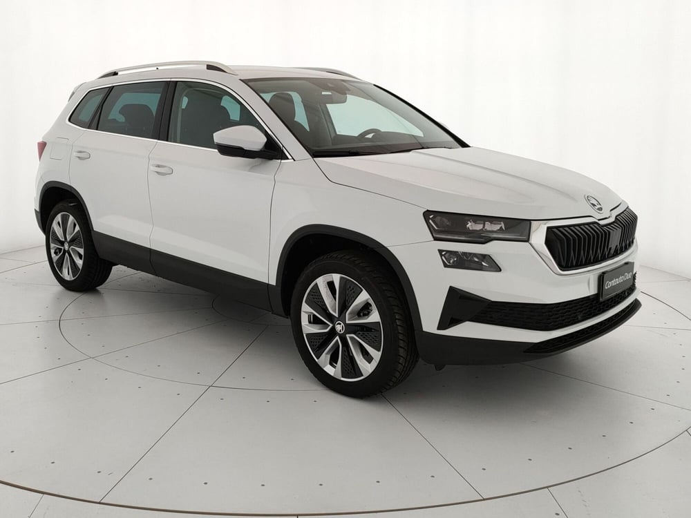 Skoda Karoq usata a Caserta (3)