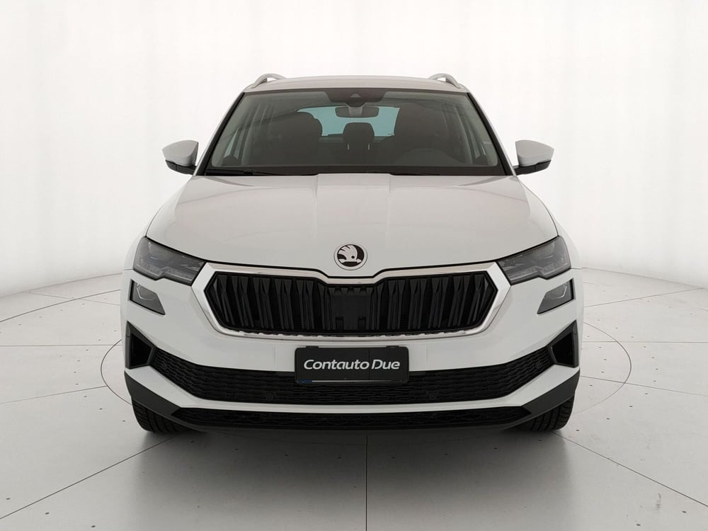 Skoda Karoq usata a Caserta (2)