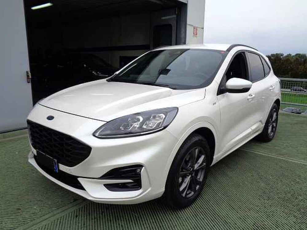 Ford Kuga usata a Treviso