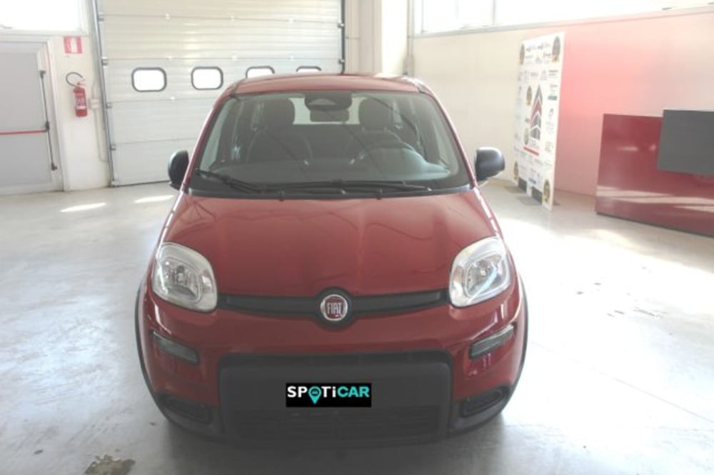 Fiat Panda nuova a Terni (2)