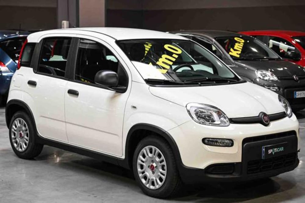 Fiat Panda nuova a Torino (3)