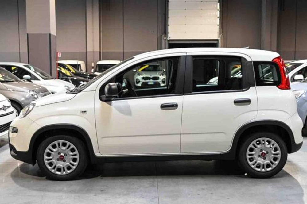 Fiat Panda nuova a Torino (8)