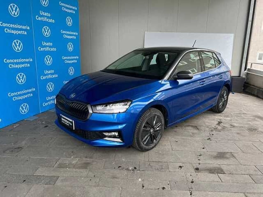 Skoda Fabia usata a Cosenza