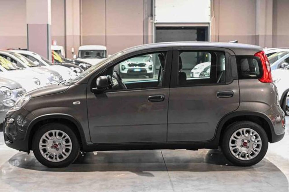 Fiat Panda nuova a Torino (8)