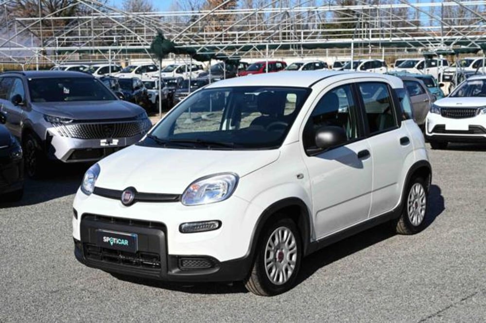 Fiat Panda nuova a Torino