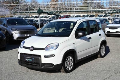 Fiat Panda 1.0 firefly hybrid s&amp;s 70cv 5p.ti nuova a Pianezza