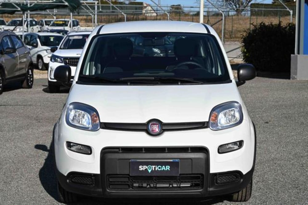 Fiat Panda nuova a Torino (2)