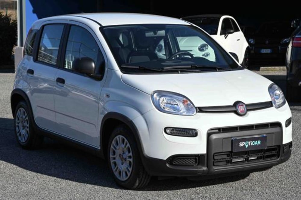 Fiat Panda nuova a Torino (3)