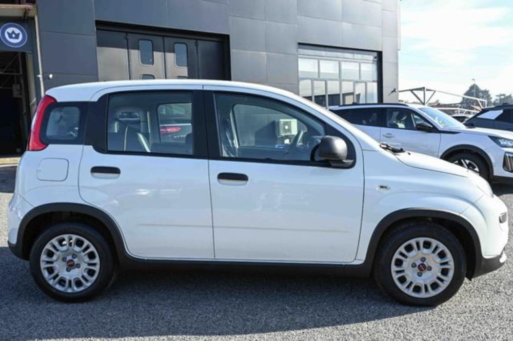 Fiat Panda nuova a Torino (4)