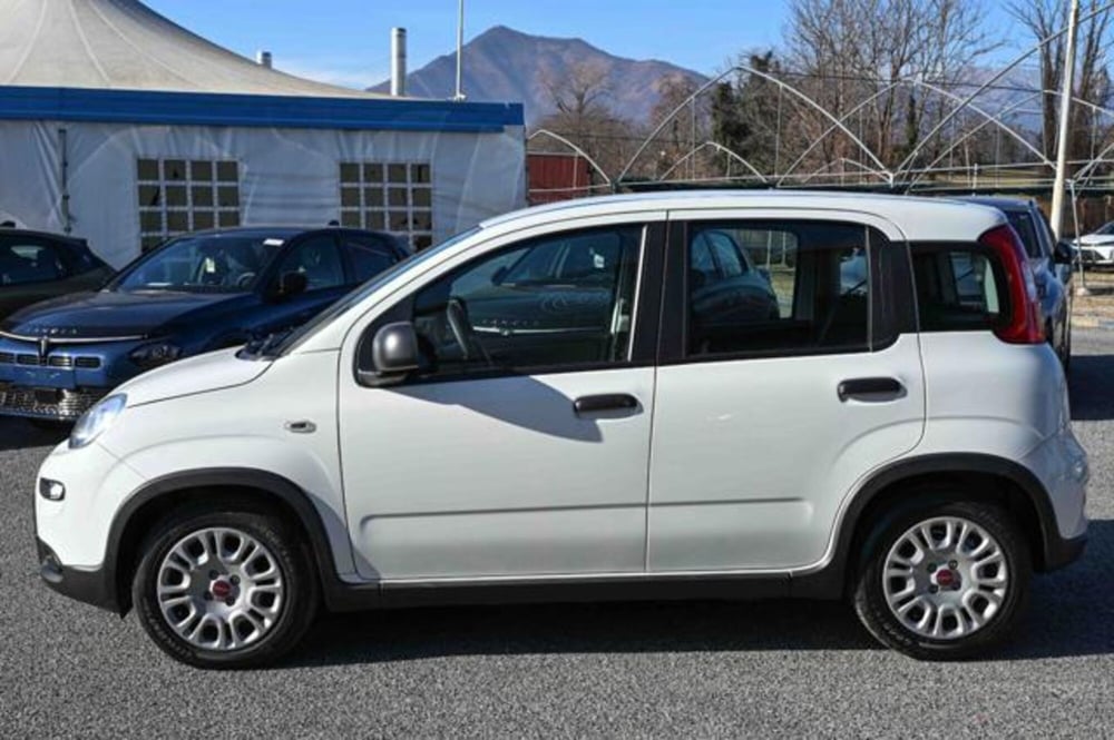 Fiat Panda nuova a Torino (8)