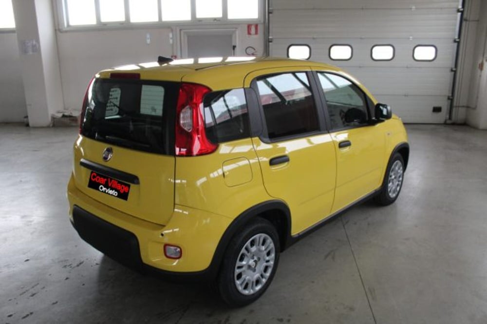 Fiat Panda nuova a Terni (4)