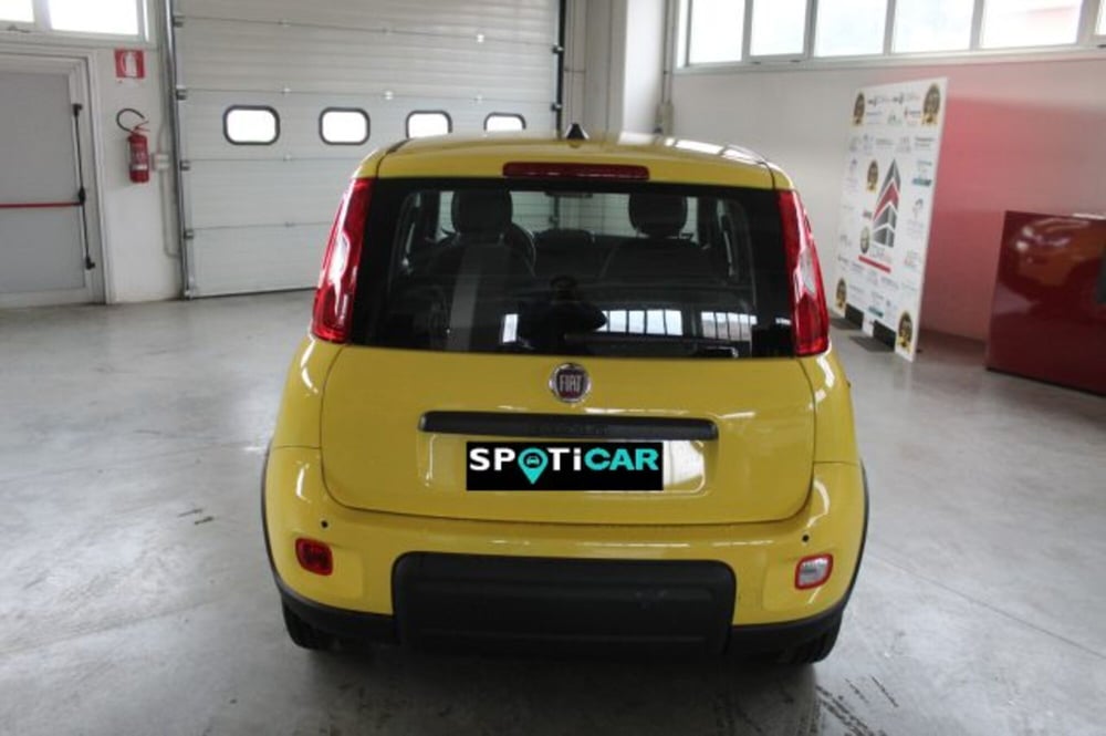 Fiat Panda nuova a Terni (5)