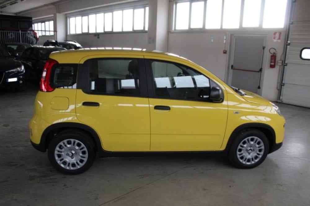 Fiat Panda nuova a Terni (6)