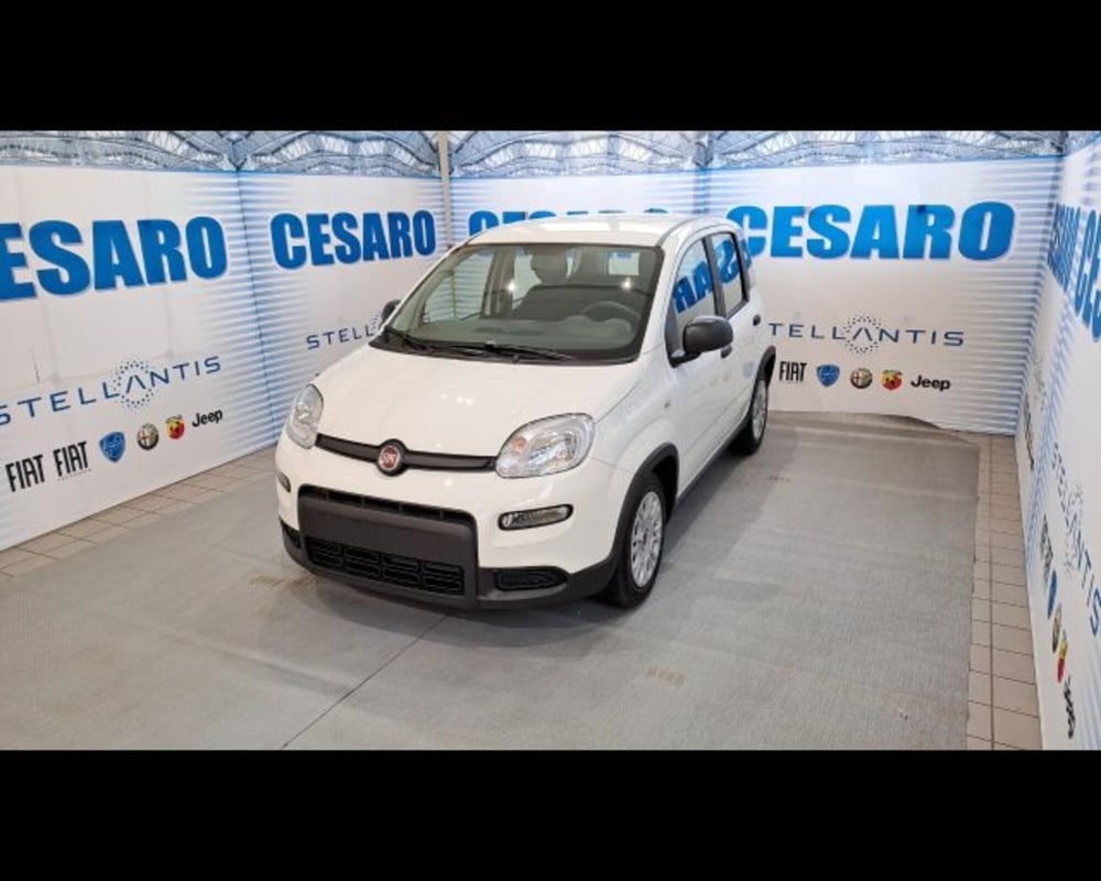 Fiat Panda nuova a Aosta (2)