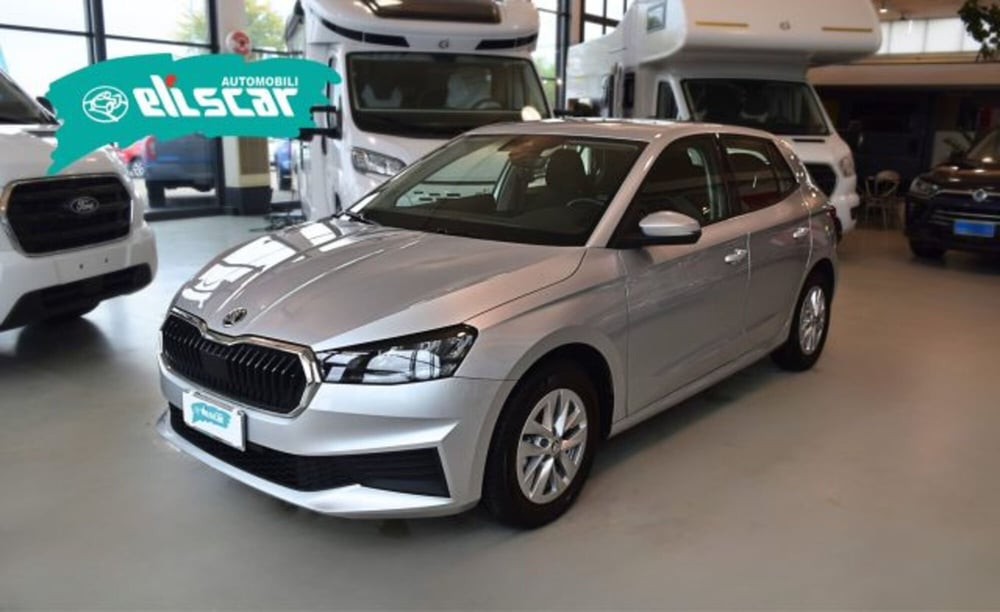 Skoda Fabia usata a Verona (2)