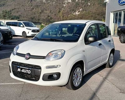 Fiat Panda Cross Cross 1.0 FireFly S&amp;S Hybrid  del 2021 usata a Castelfranco Veneto