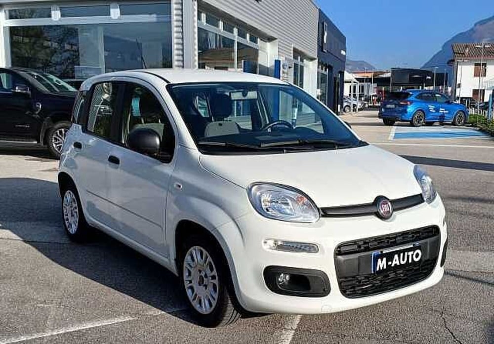 Fiat Panda usata a Treviso (2)