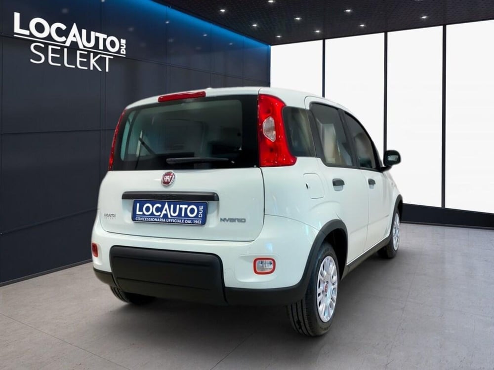 Fiat Panda Cross nuova a Torino (4)