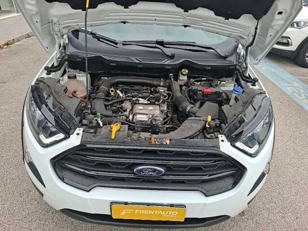 Ford EcoSport usata a Ancona (13)