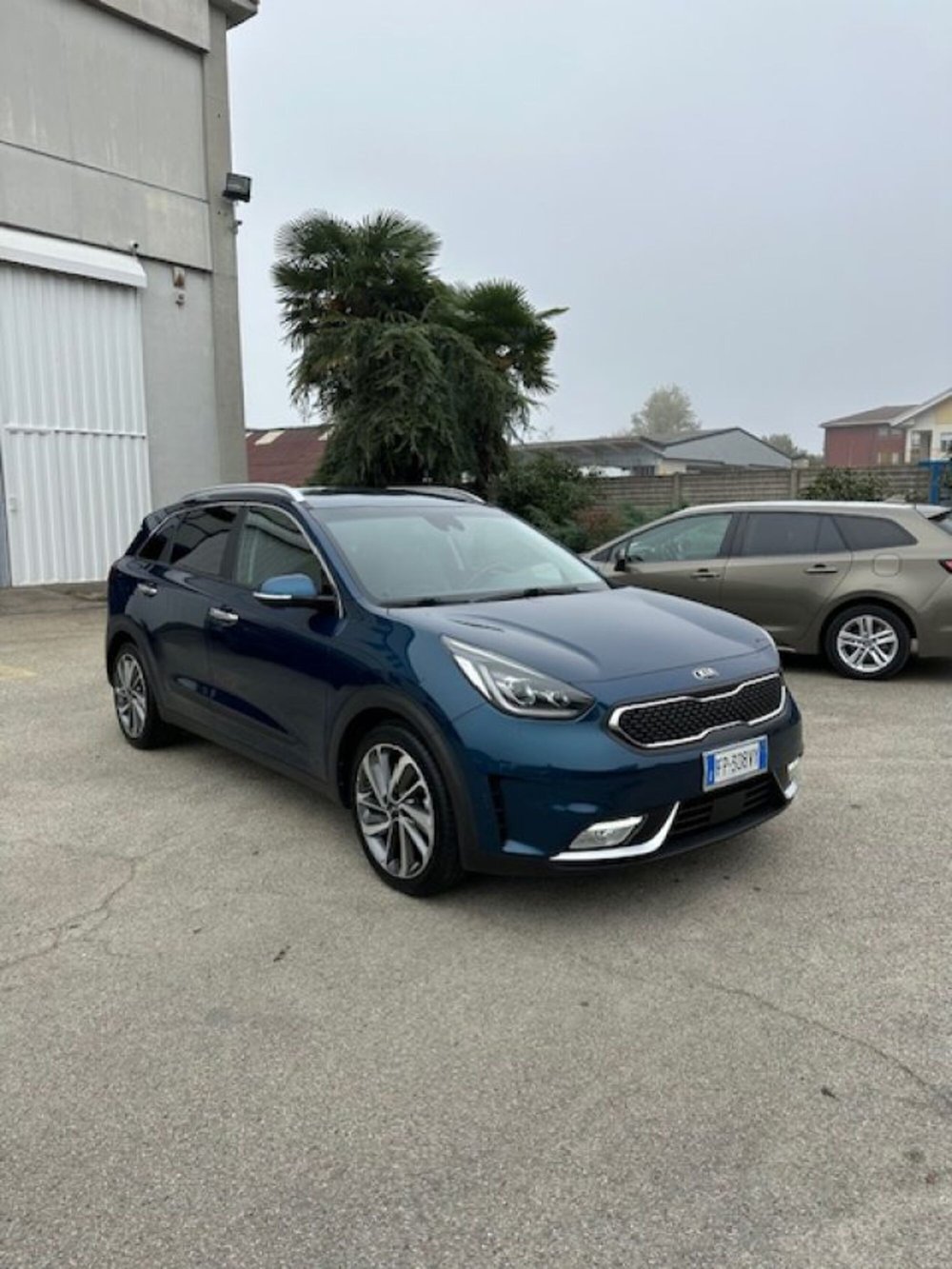 Kia Niro usata a Novara