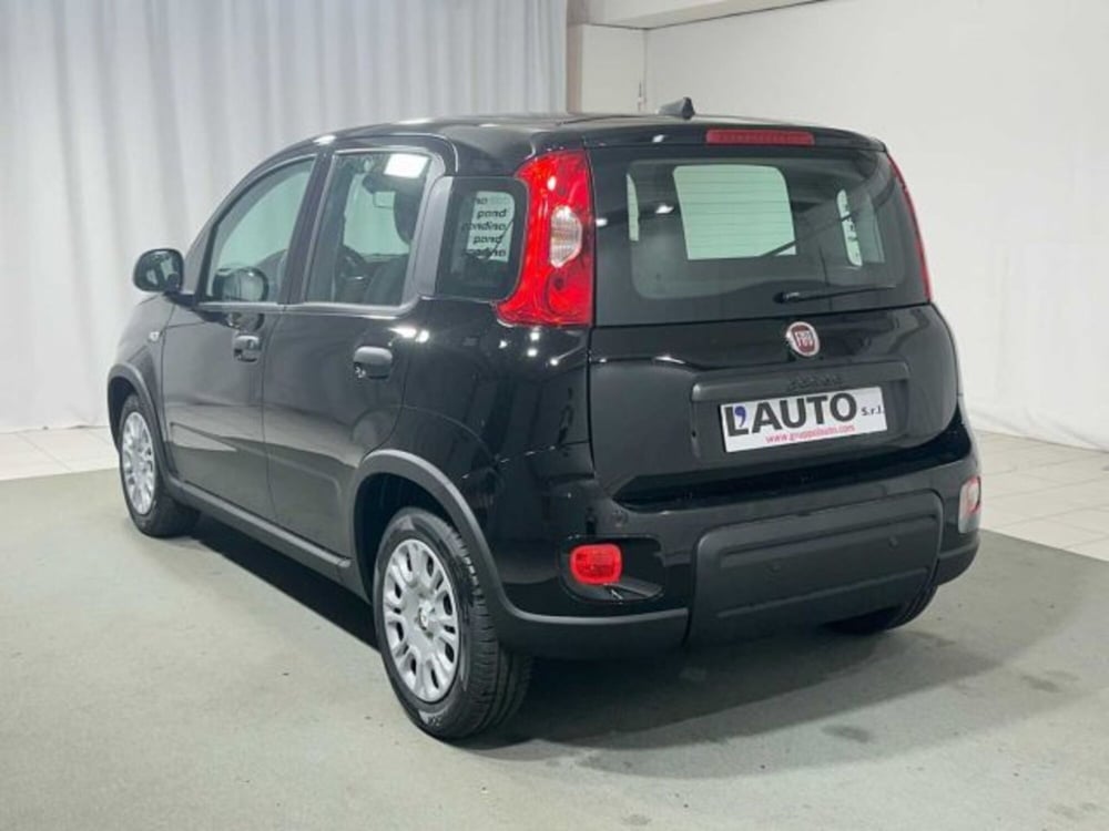 Fiat Panda nuova a Sondrio (3)