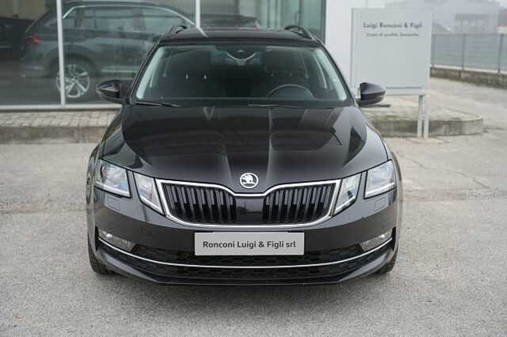 Skoda Octavia usata a Rovigo (3)