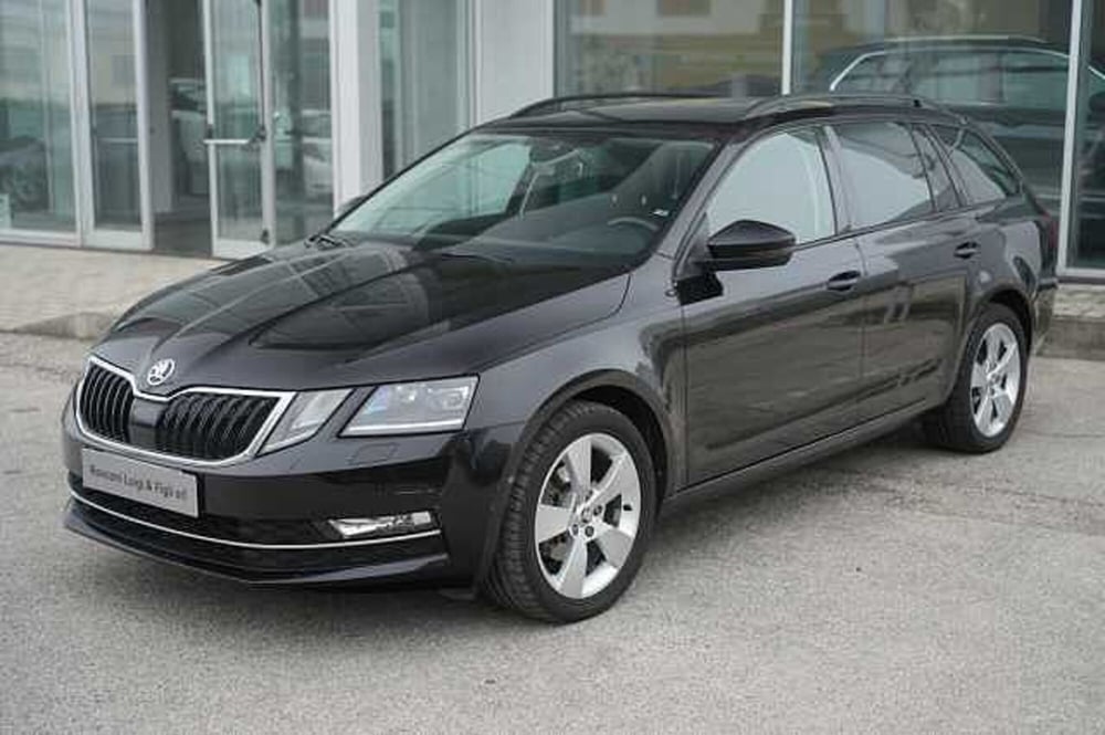 Skoda Octavia usata a Rovigo