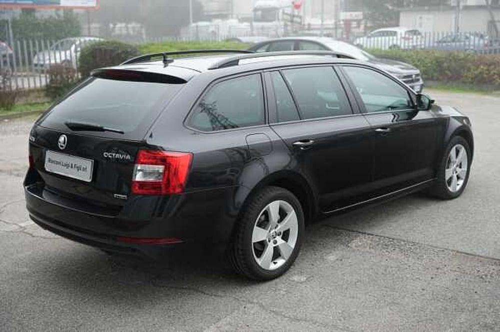 Skoda Octavia usata a Rovigo (9)