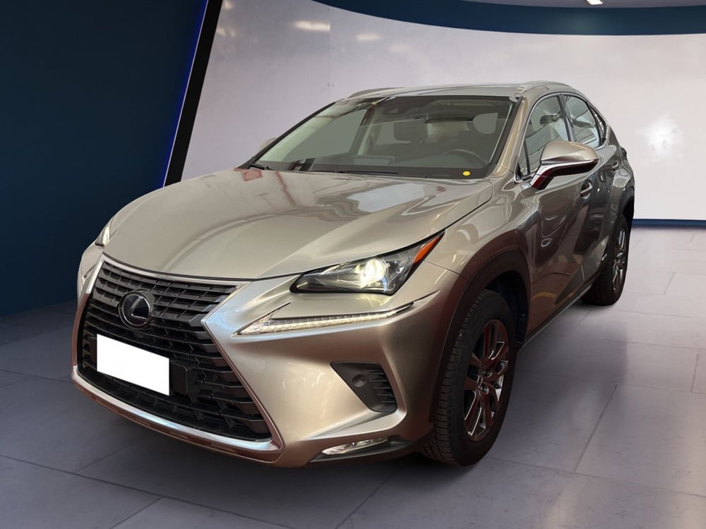 Lexus NX usata a Torino (2)